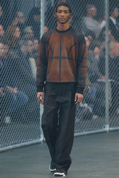 Look 29